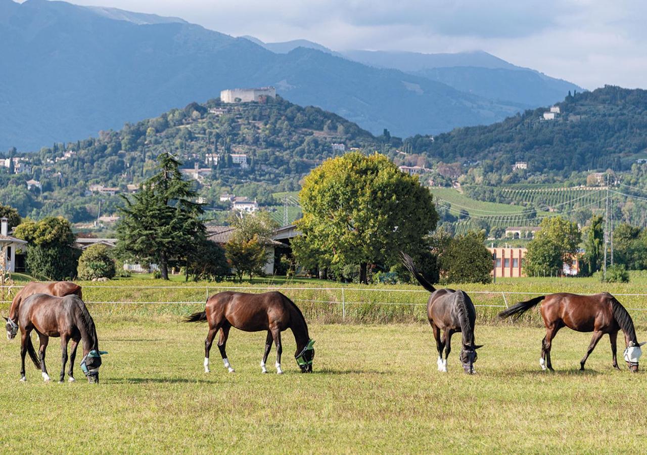 Progress Country & Wine House Aparthotel Asolo Exterior photo